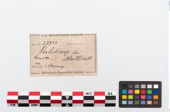 Etikett zu Bronzearmreif (NHMW-PRAE-023813)